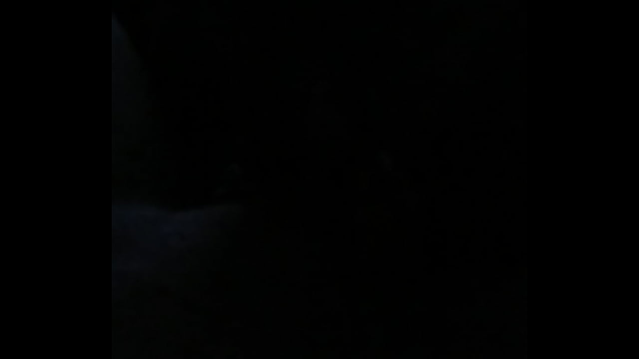 Ebony bbw amateur goes in on bbc.