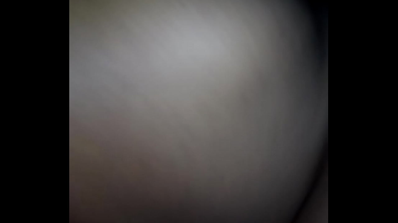 mixed breed doggy from behind