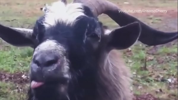 Make It Bun Dem (a. Cover)