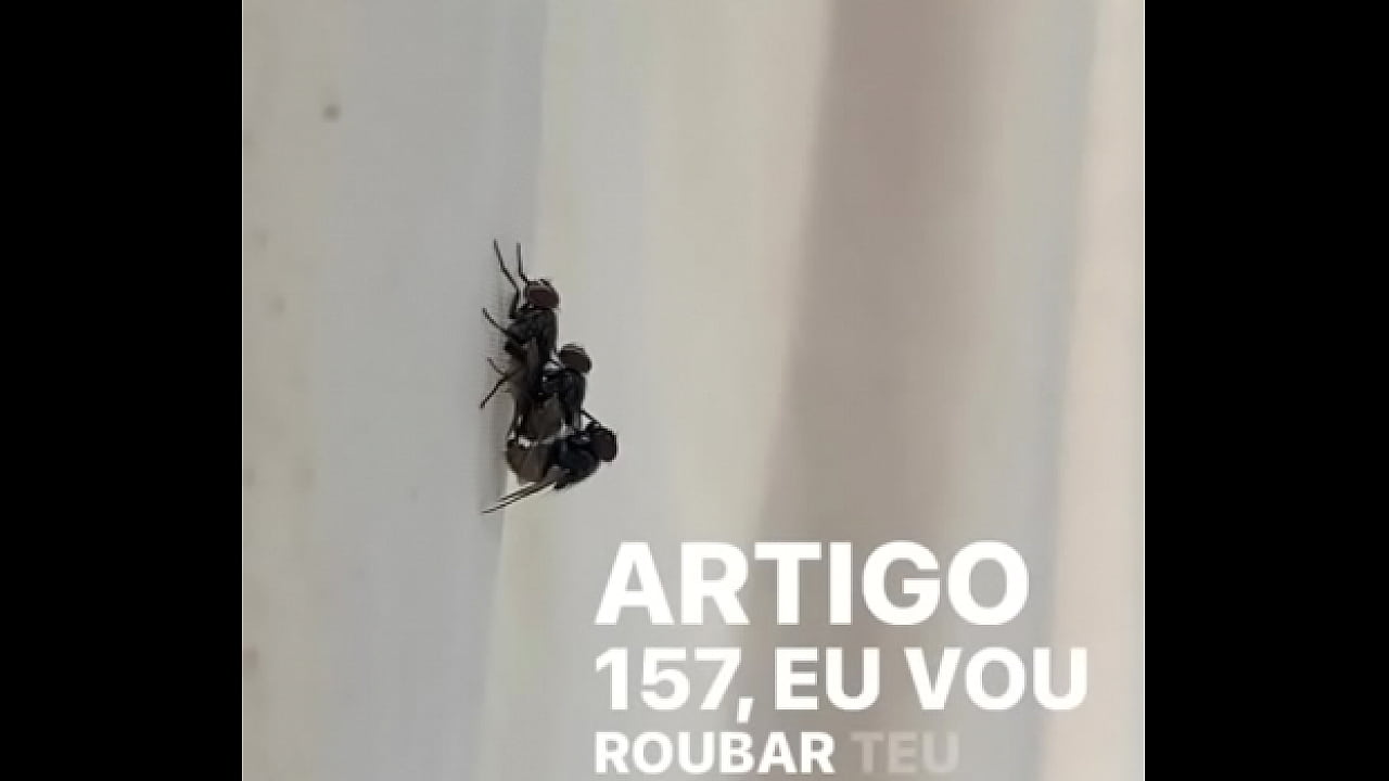 Concei&ccedil;&atilde;o sentando na pika em pleno fim de semana