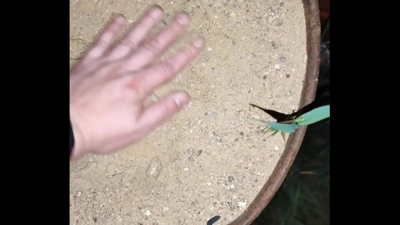 Chastity key burried away