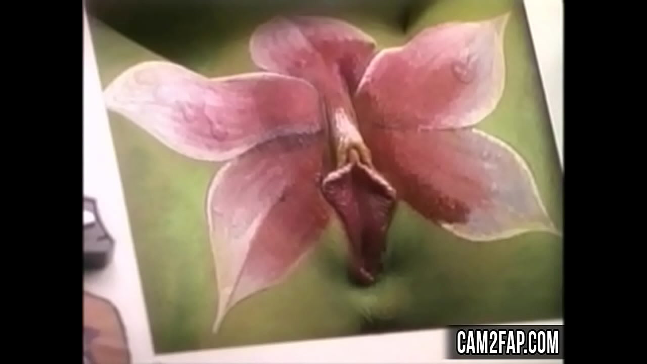 Pussy Free Funny Amateur Porn Video