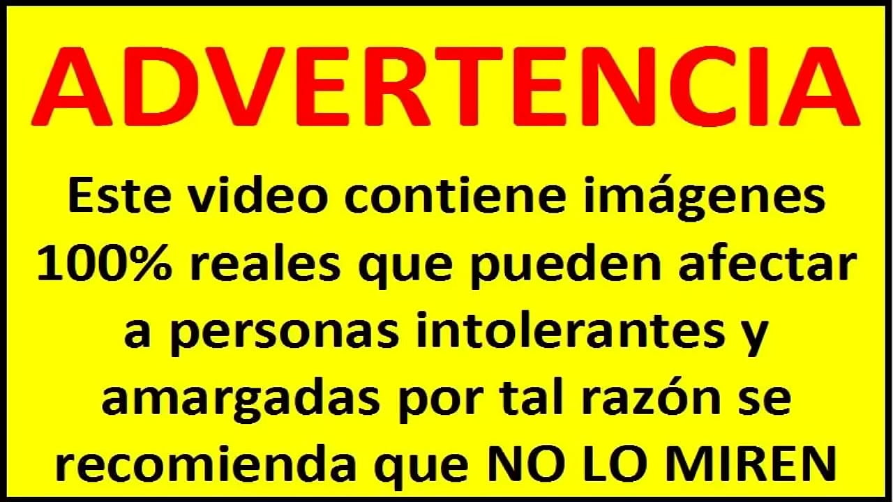 Wendy Placer Salvadore&ntilde;a XL