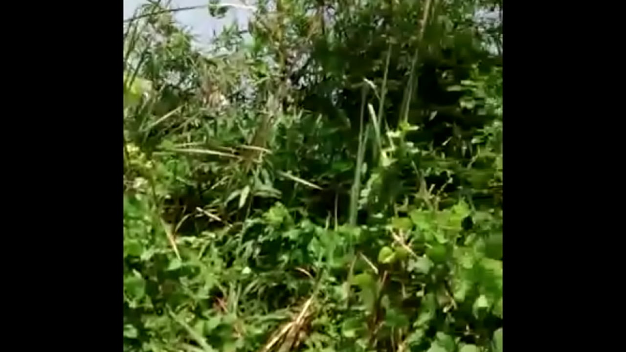 Fille du village folle mettant des fleurs dans sa chatte