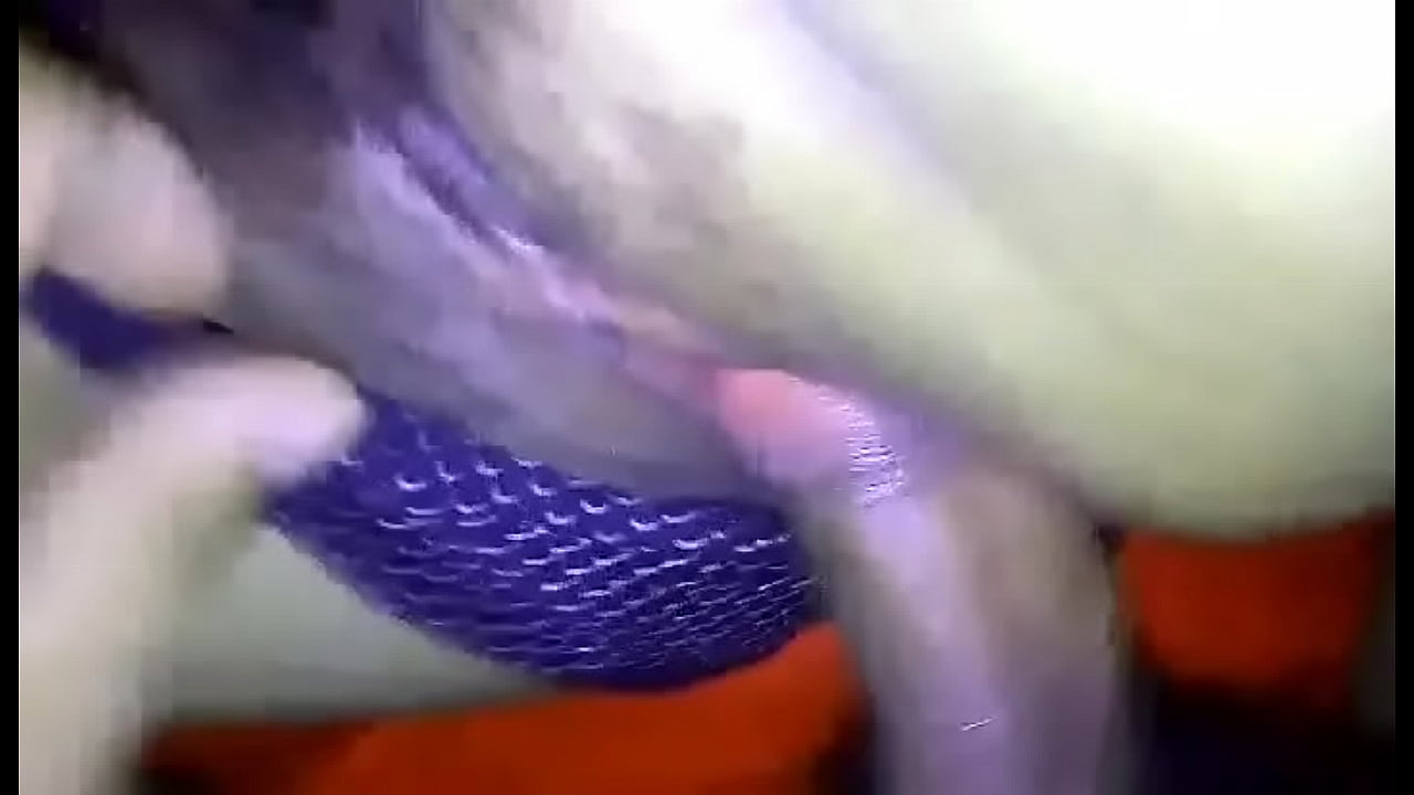 V&iacute;deo de verificaci&oacute;n