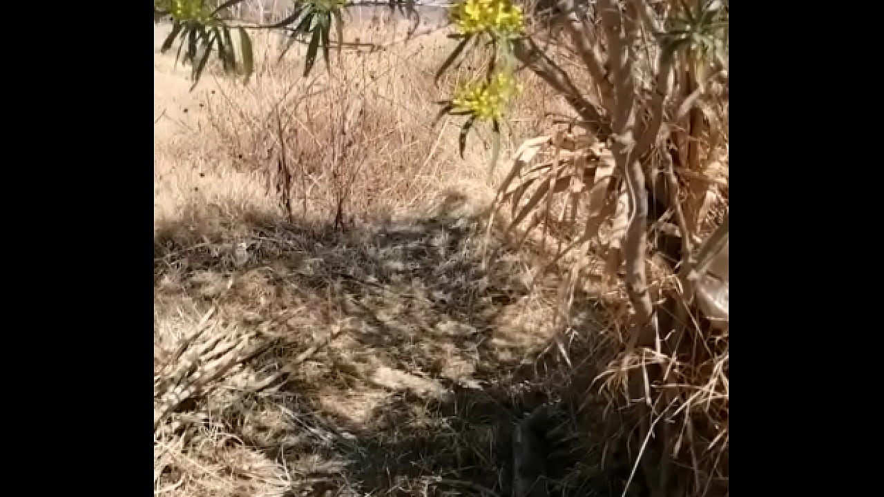 Devska tests her new toy with a good fuck