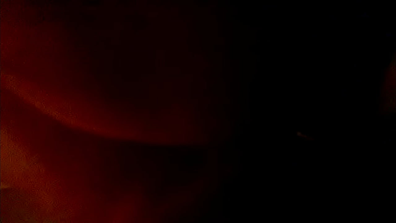 Lexi sissy begging for daddy