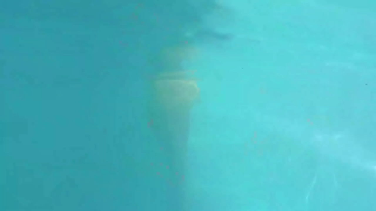 allez un peu de fraicheur pour tout le monde, profitez en c'est cadeau