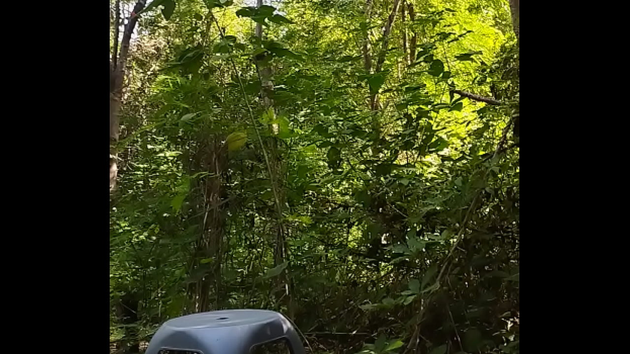 Me da una mamada en el monte