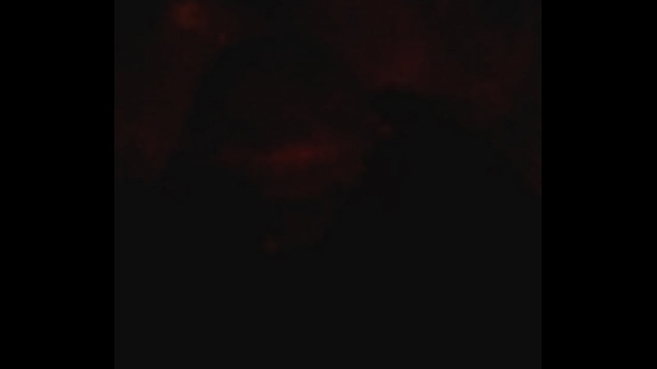 VID 20160109 025628 edit 0