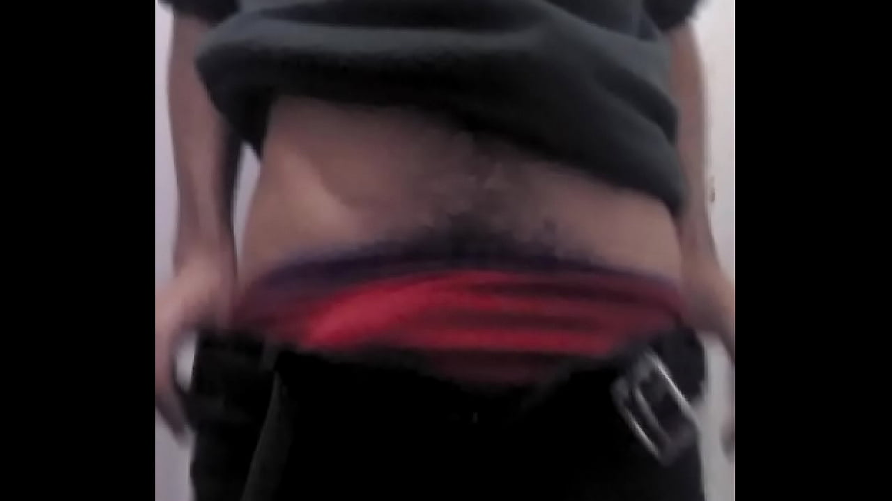 Otter Public bathroom cum