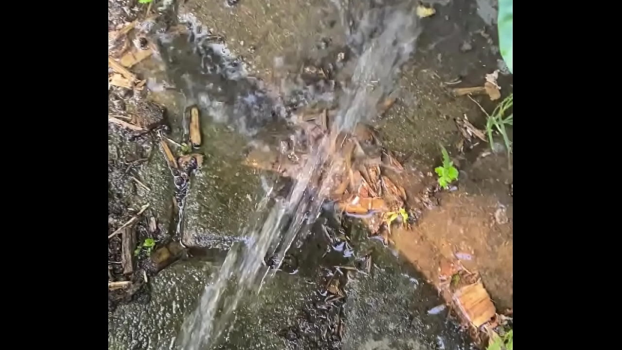 Tiatinkles - Outside Tinkles - IMG 2891 - Aug 12, 2025