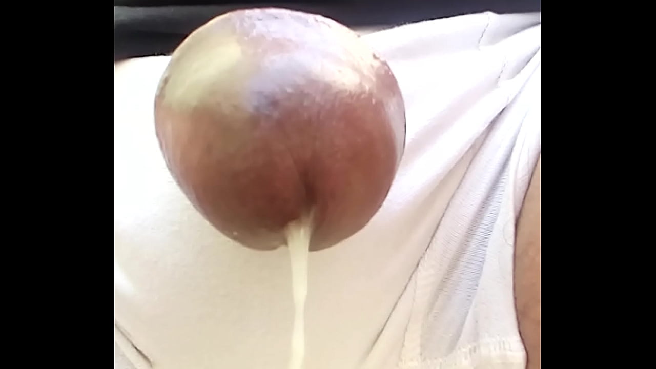 Cachorro com cueca furada gozou sem por as m&atilde;os