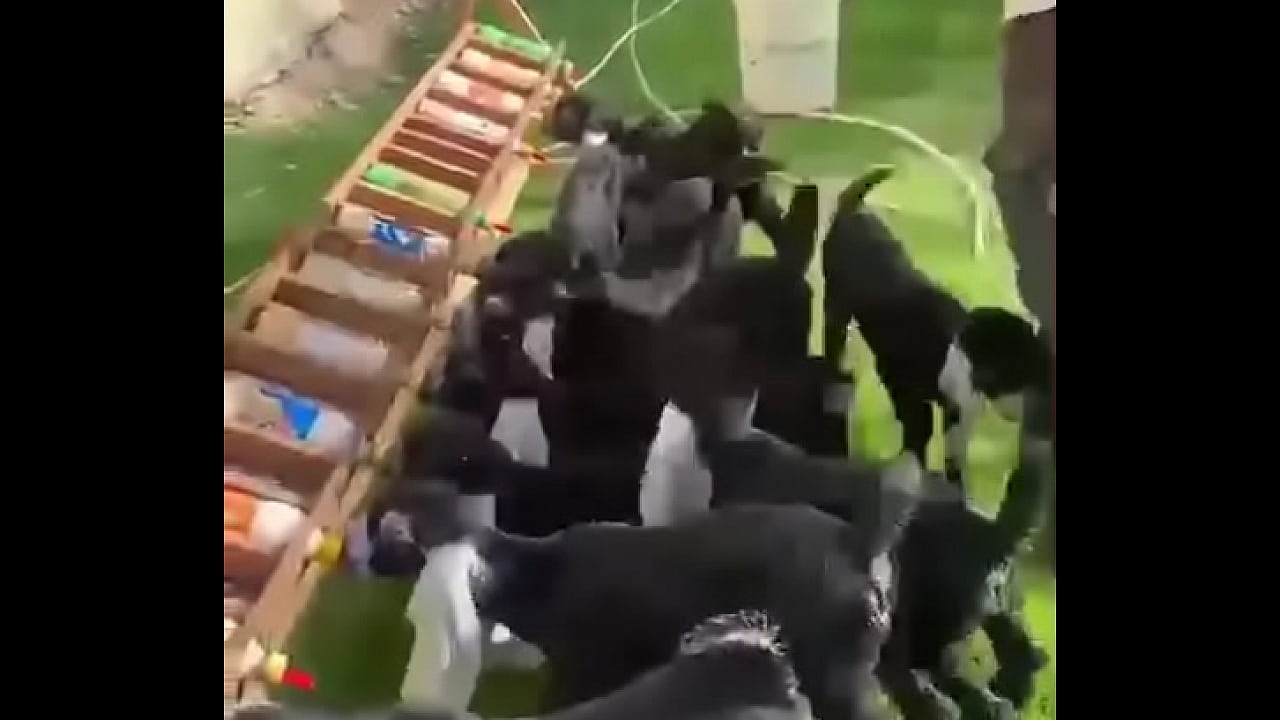 نيك اكس اكس