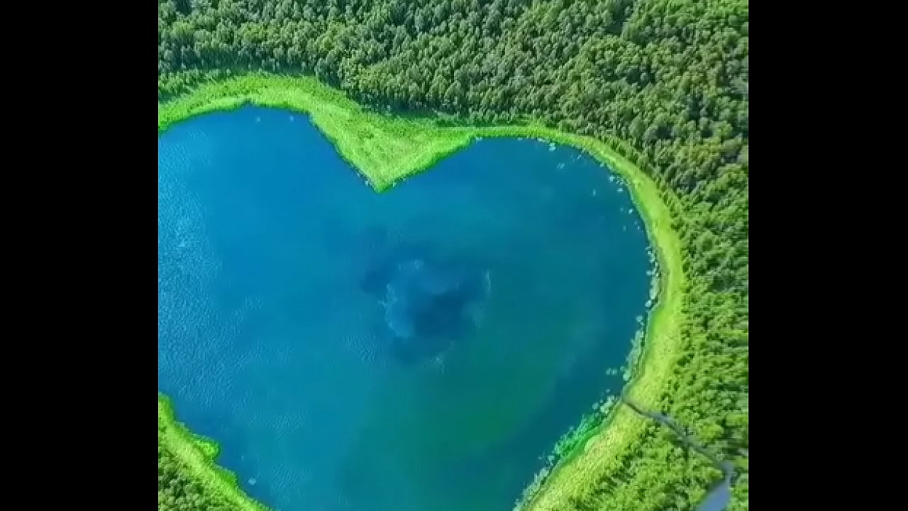 वेरीफ़िकेशन विडियो