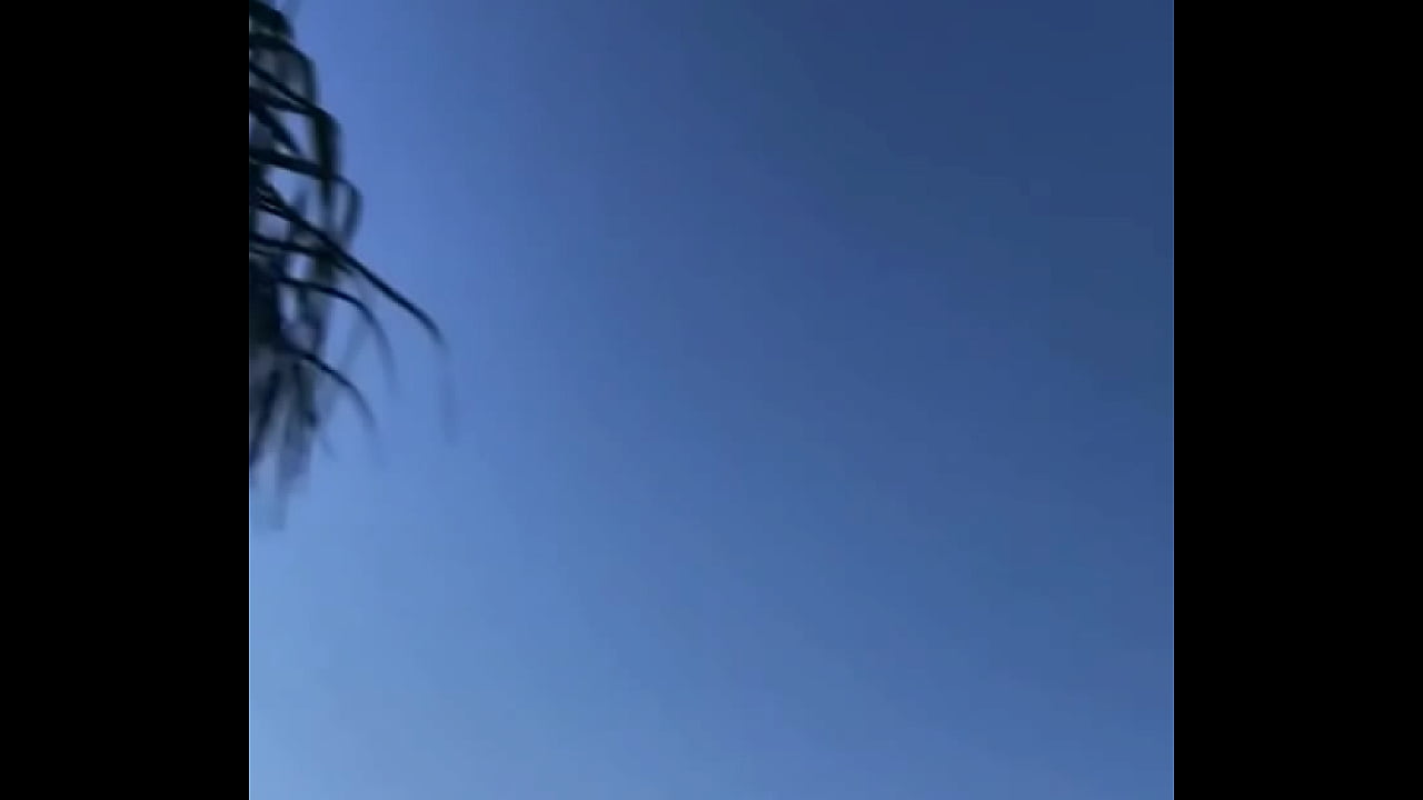 - Update #88 (2023-03-27T21:29:01.000Z)