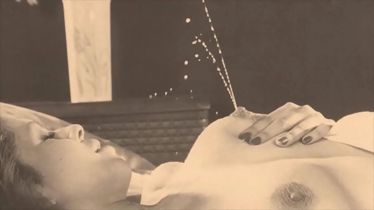 'Retro Pregnant Babes' The Sexual Memoirs of an English Gentleman