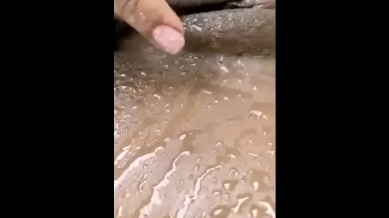 Essa moreninha linda acompanhante esta sozinha esperando voc&ecirc; no seu quarto.vem conhecer essa gata voce nao vai se arrepender