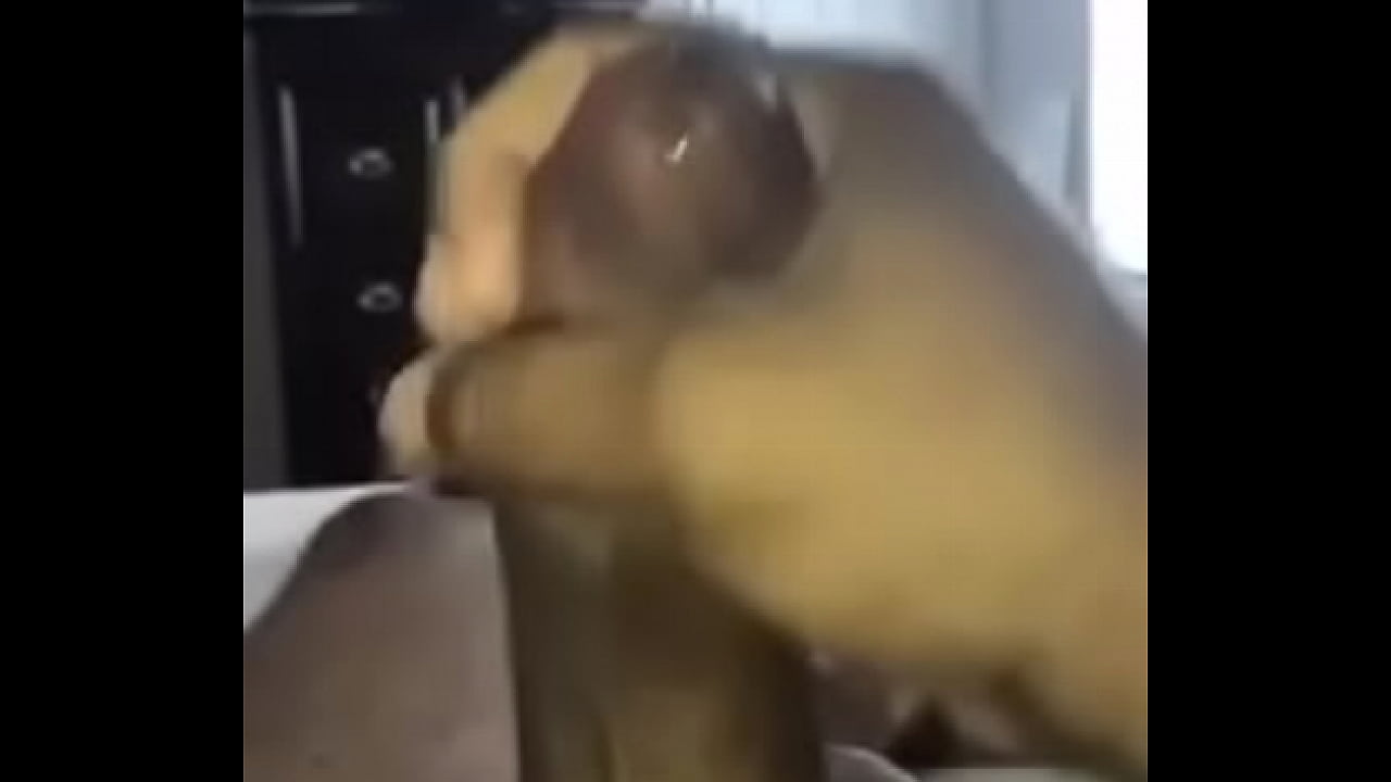 Me gusta hacer el Amor