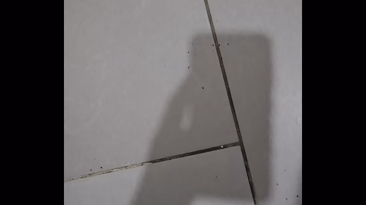 Video de v&eacute;rification