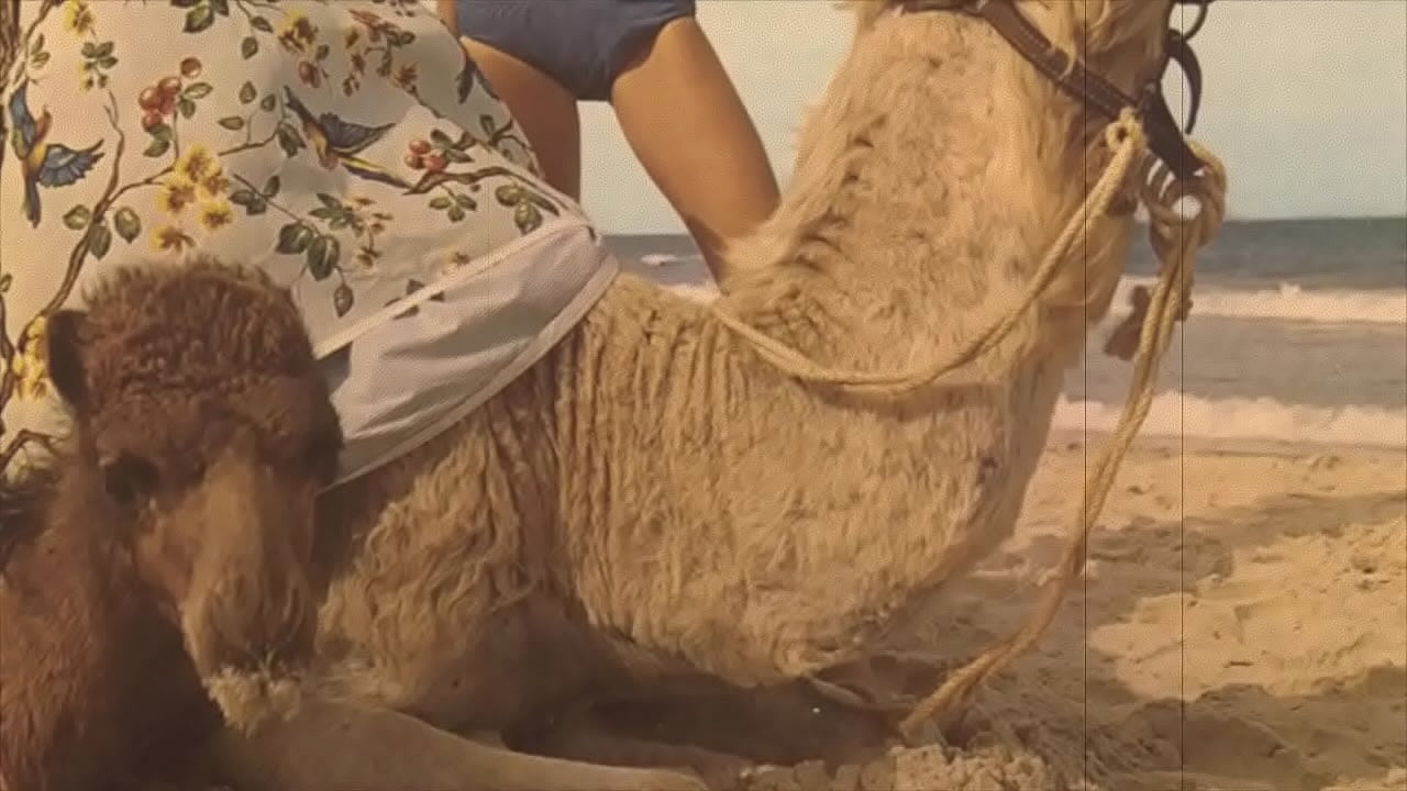 'Beauty & The Beast', My Secret Life