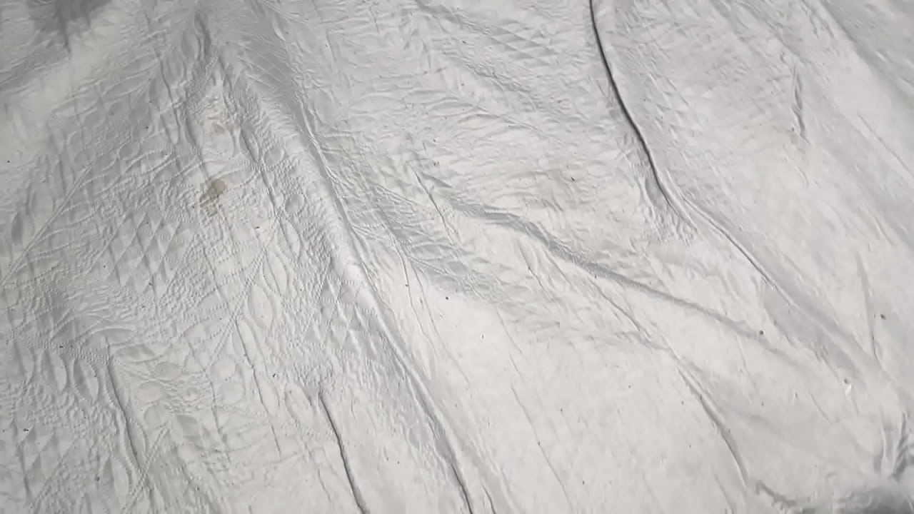 Chamei a nerdzinha pra jogar um PS5 e ela quis mesmo me dar a buceta.