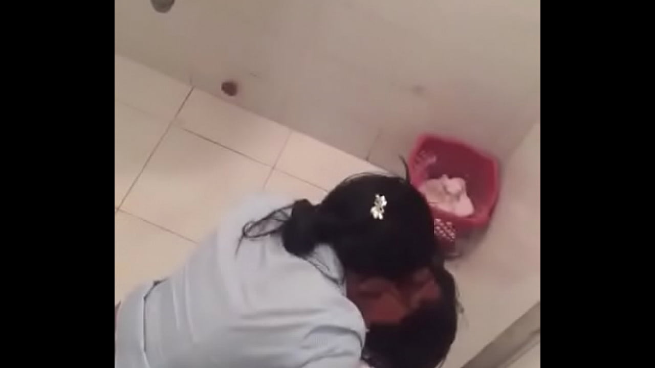 Dominicana tortilleras