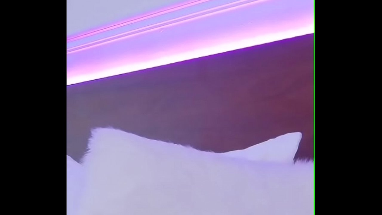 Latina vzla en bogota