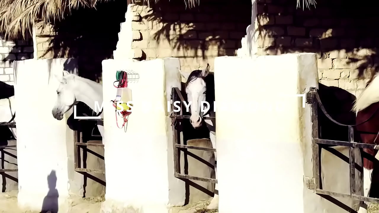 White African Flower Riding Experience SFW