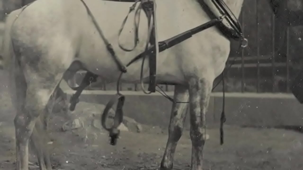 My Secret Life, The Sexual Memoirs of an English Gentleman - 'The Sins Of Our Grannies'