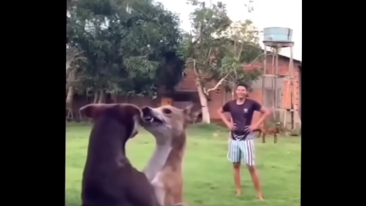 Momazos 4 xx xx xx xx