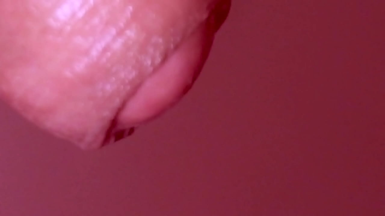 Japanese HomeStay Experience