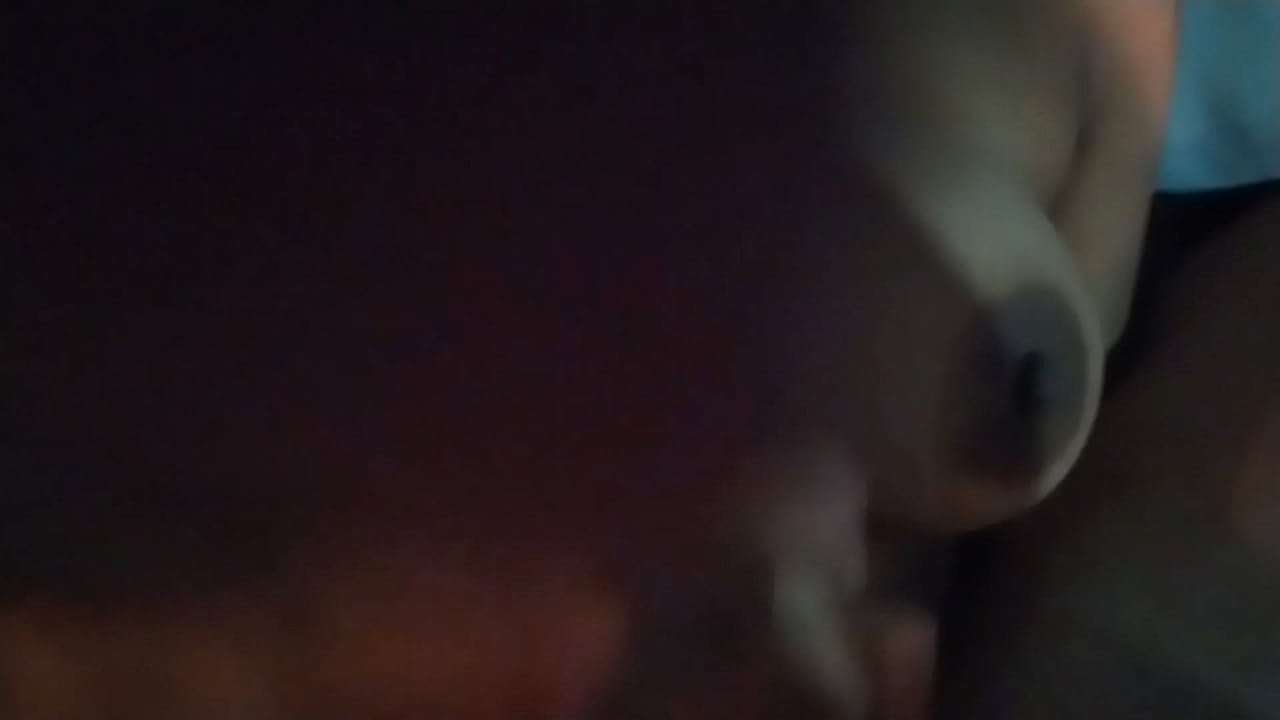 Vendr&aacute; regalada