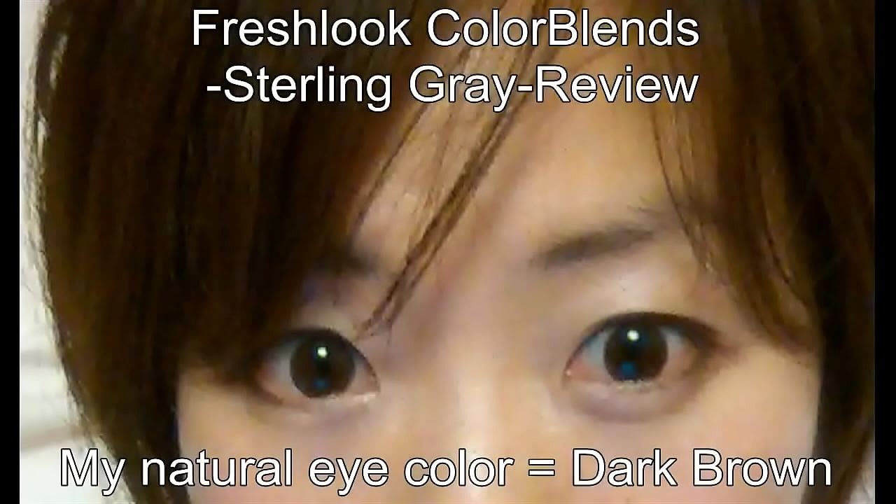 Masako Macaron gran troia