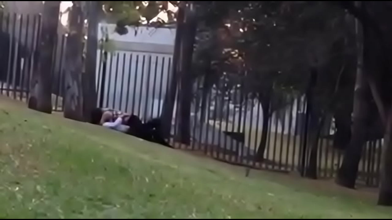 12845889 955942511162747 144150781 n