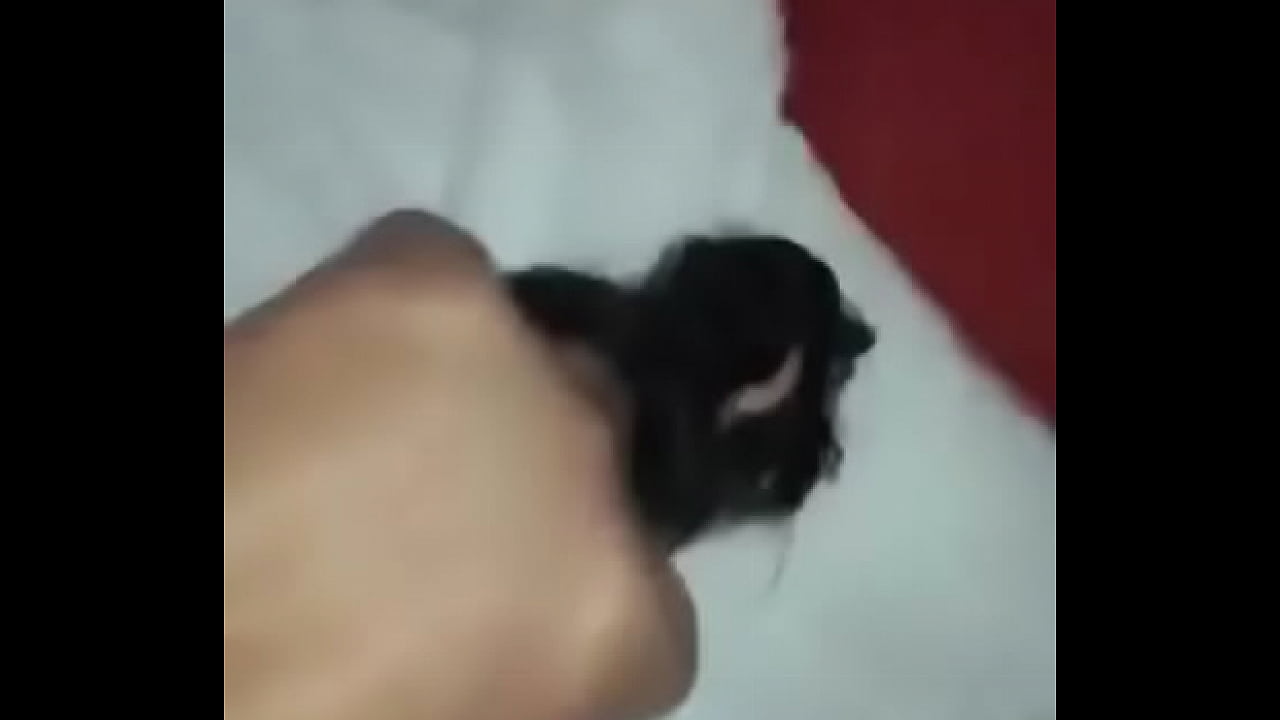 Una perra en la cama