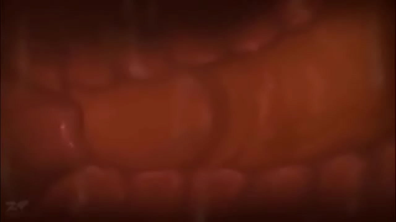 Gozando dento do &uacute;tero