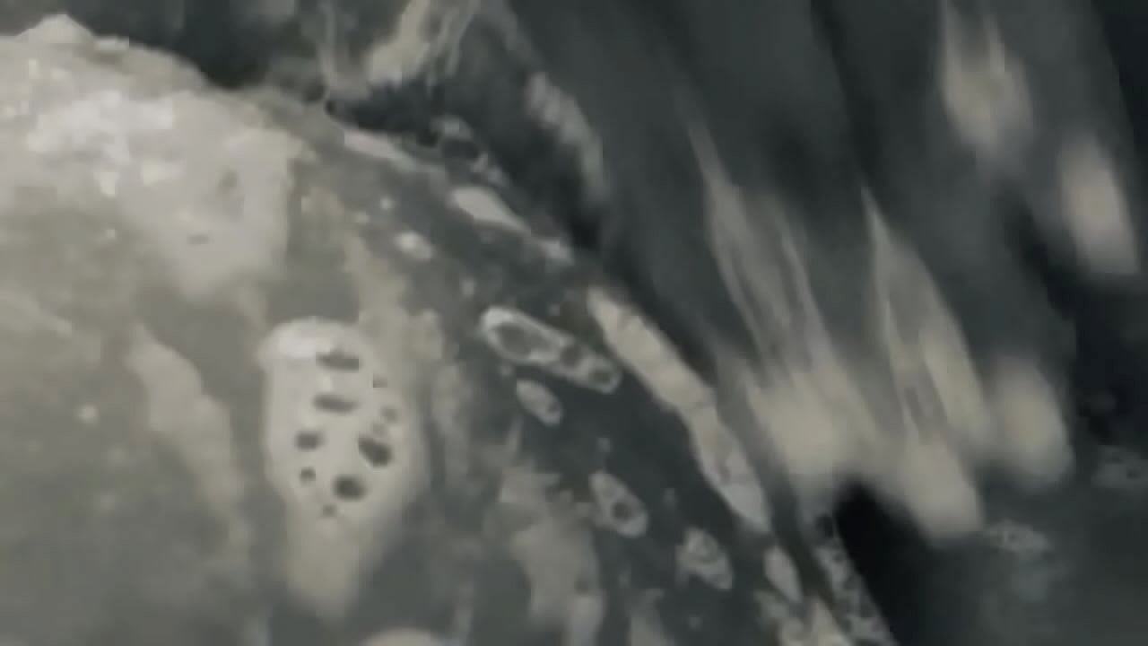 AMIRAH ANASTASIA - Lathering My Pussy With Soap