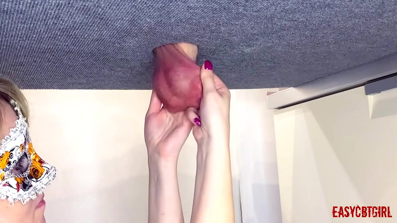 On the milking table, a dick with balls pulled back by a slut who loves when male genetics hang to the knee