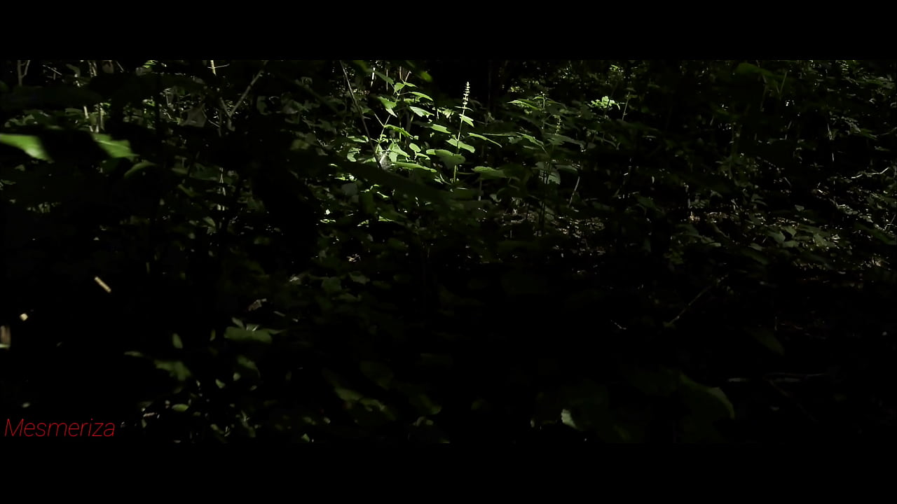 Mesmeriza 23 03 MOV CINEMA CLIP 322 20240814144714515