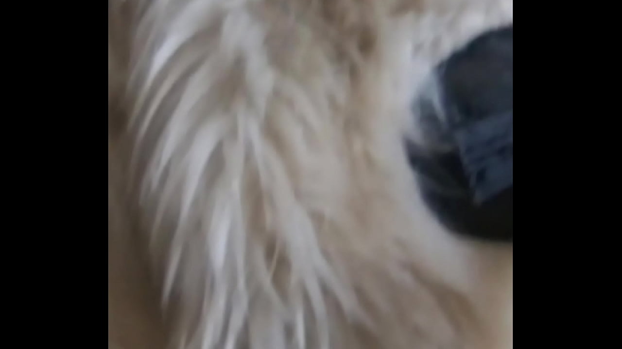 Is this your favorite fur-coat?