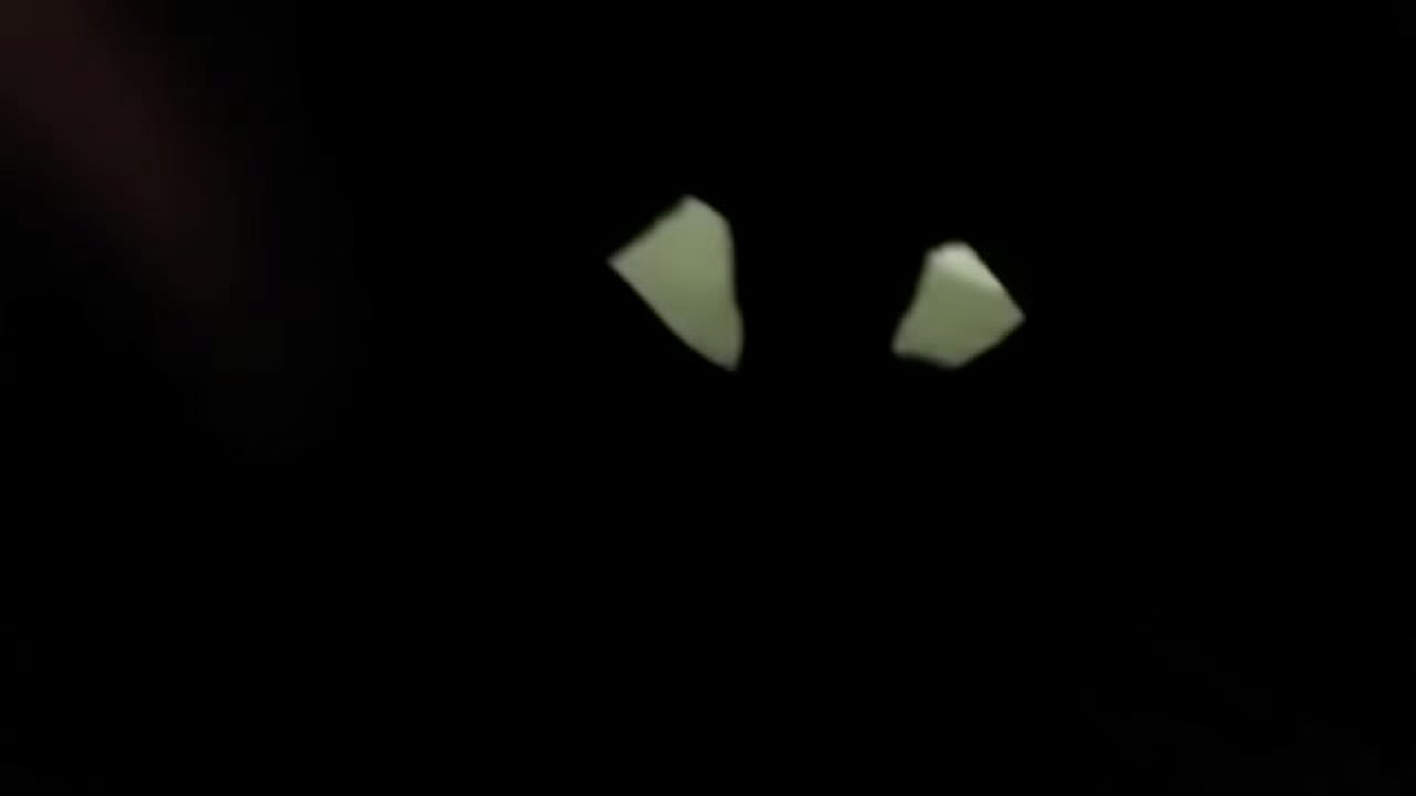 Chocolate stripper said fuck recording just gimme that dick