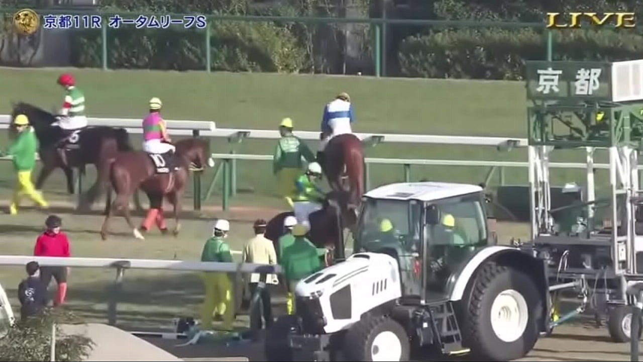 ジャパンカップ-GI