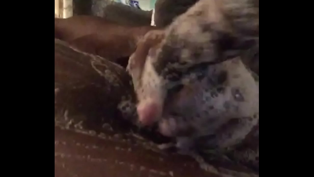 trim.F87F7DCA-E168-49EE-ADD7-DC20185A0970.MOV