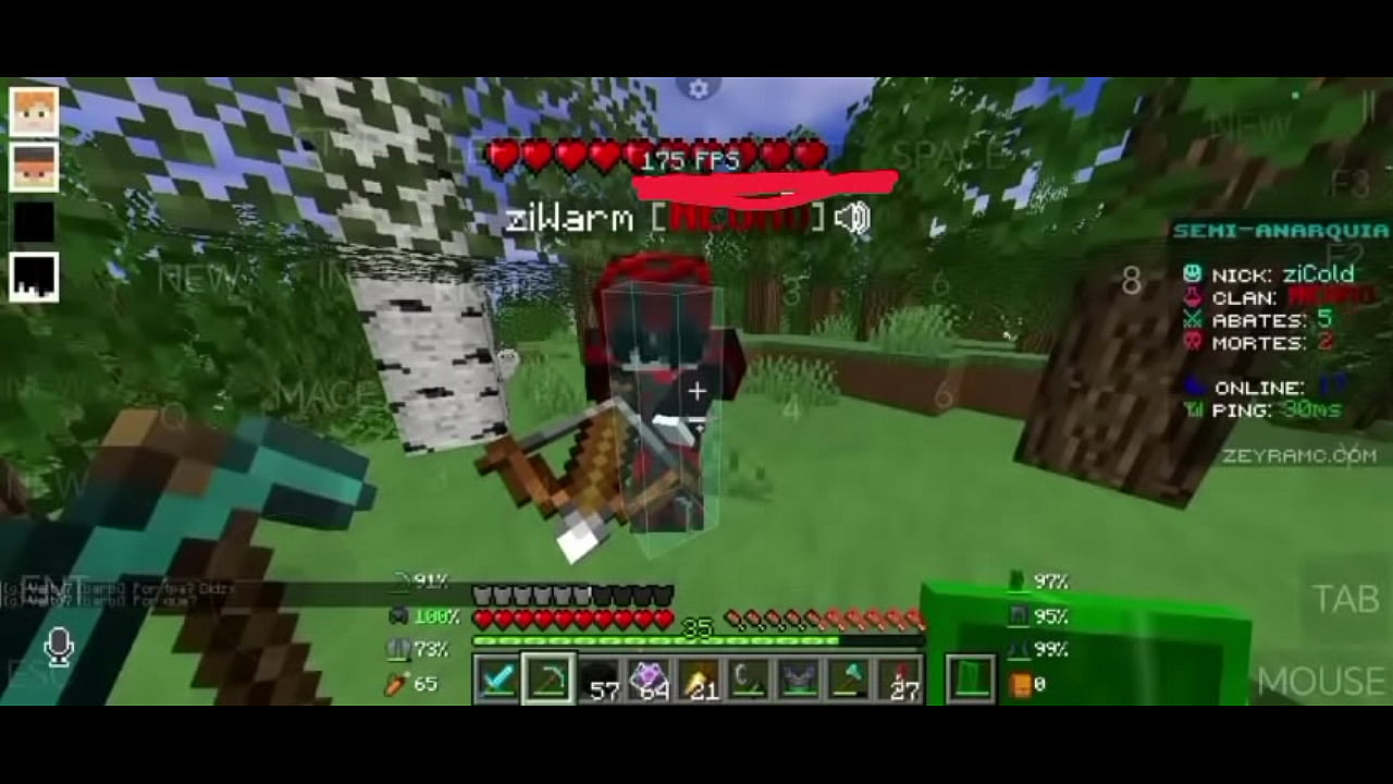 Dono sendo molesstrado