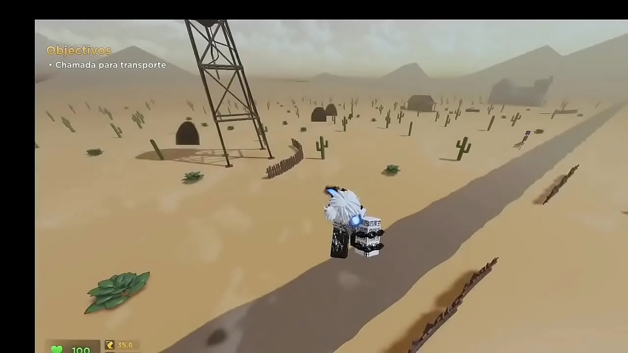 V&iacute;deo de verifica&ccedil;&atilde;o