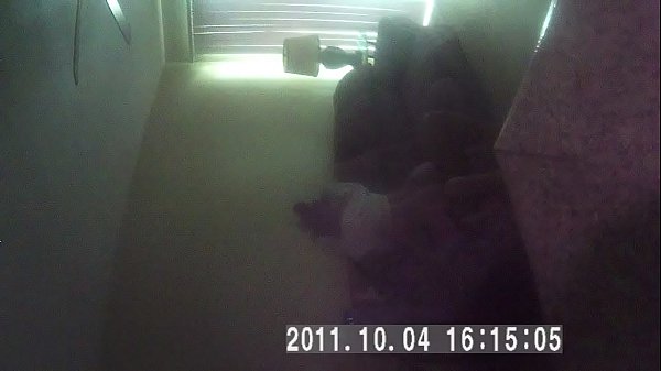 Having the best sex ever at the WarhedMafiaStudioPalace in the north side of Houston Texas