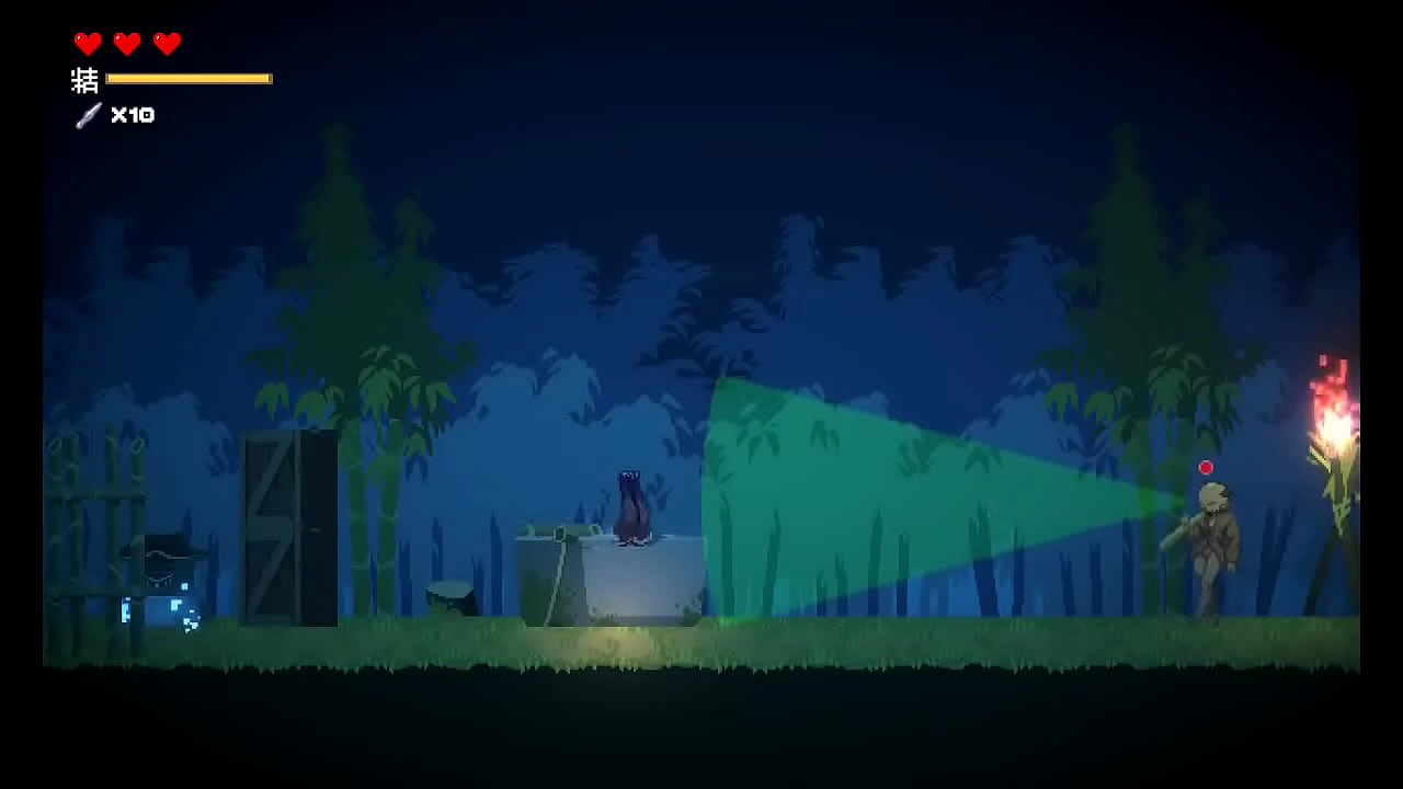 kunoichi sekiren the whole thing