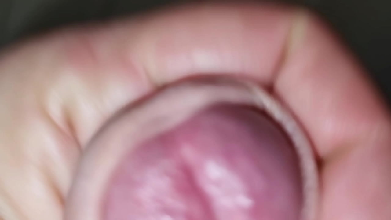 AMA SBORRARE ELEGANTE | GEMITI E SEGA INTENSA CON VESTITO ELEGANTE - ANSIMA E GODE CON UN FORTE ORGASMO (VIDEO ESCLUSIVO INTEGRALE)