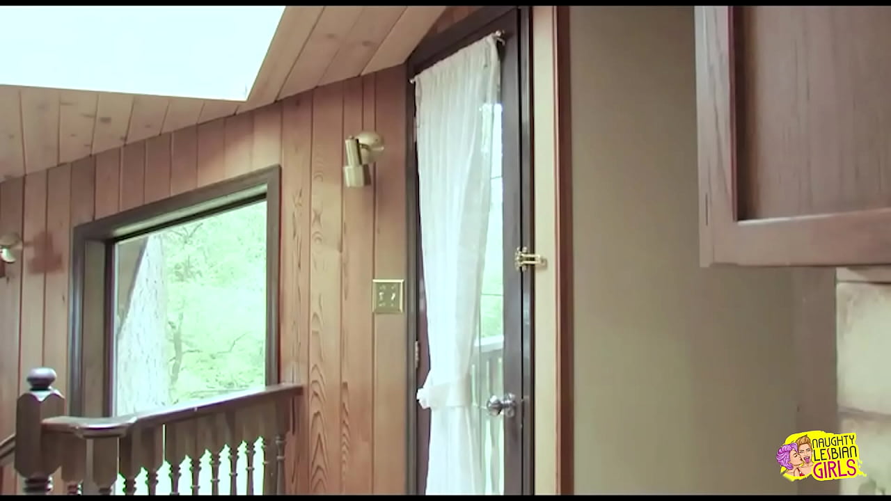 A web designer, who is initially unaware, becomes involved in a sexual encounter with a mature woman who has extensive expertise in same-sex relationships.